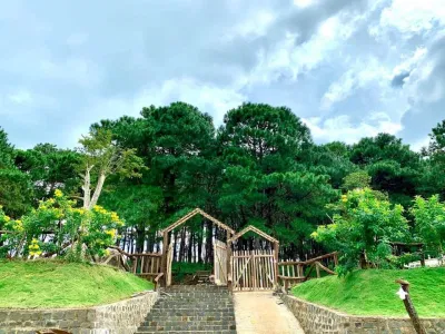 (Nguồn ảnh: Thông Farm and Bistro) (Nguồn ảnh: Thông Farm and Bistro)
