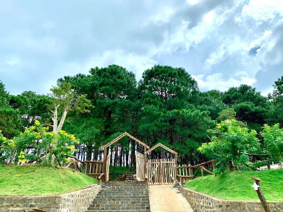 (Nguồn ảnh: Thông Farm and Bistro)