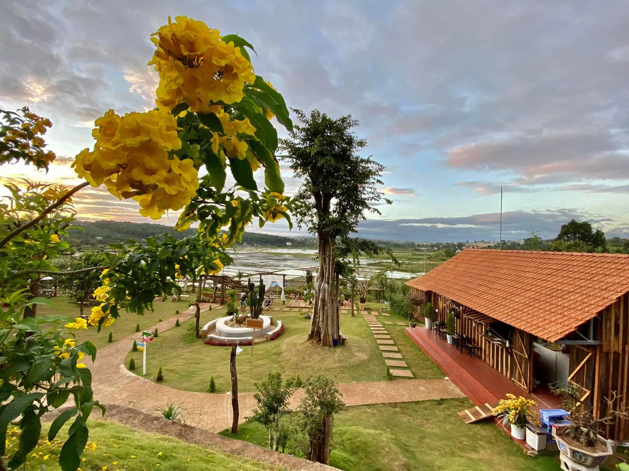 (Nguồn ảnh: Thông Farm and Bistro)