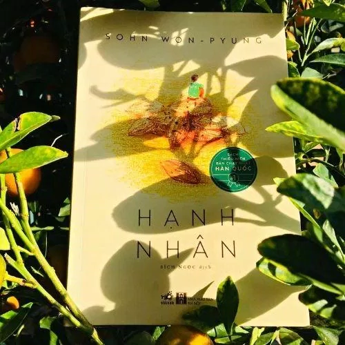 Hạnh nhân - Won-pyung Sohn (Ảnh: Internet). Hạnh nhân - Won-pyung Sohn (Ảnh: Internet).