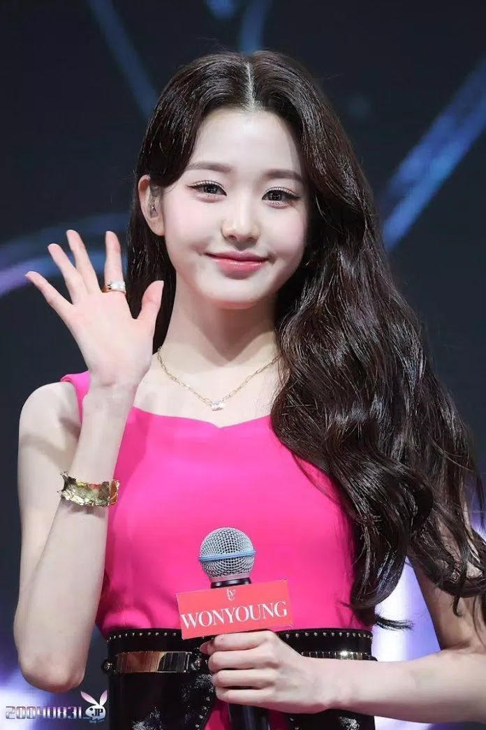 Lý Do Thực Sự Jang Won Young Không Thi Đại Học Dù Từng Đạt Điểm Tối Đa - Bloganchoi