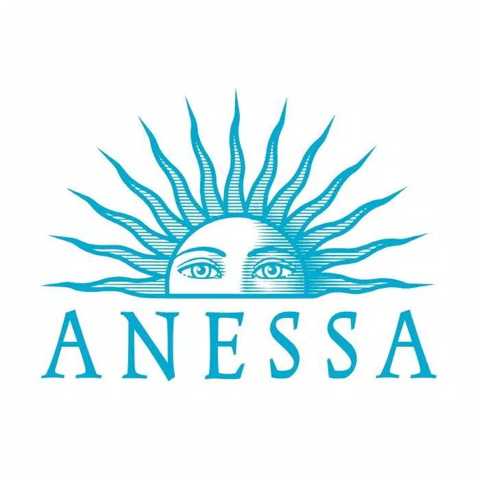 Thương hiệu Anessa - chuyên cung cấp các sản phẩm kem chống nắng số 1 Nhật Bản (Nguồn: Internet)