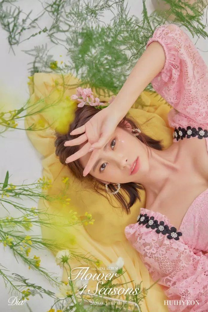 Ki Hui Hyeon thần tượng K-Pop có họ rất hiếm. (Nguồn: Internet) Ki Hui Hyeon thần tượng K-Pop có họ rất hiếm. (Nguồn: Internet)