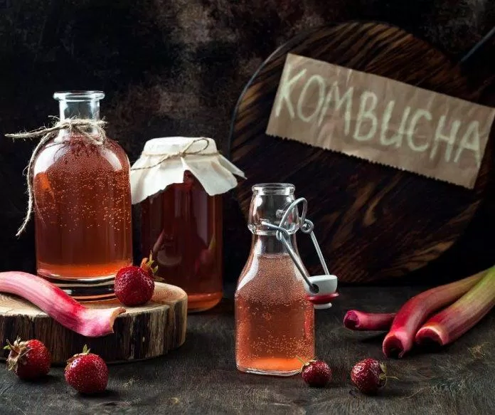 Kombucha là một loại trà có chứa nhiều dưỡng chất lên men có lợi cho cơ thể (nguồn: internet)