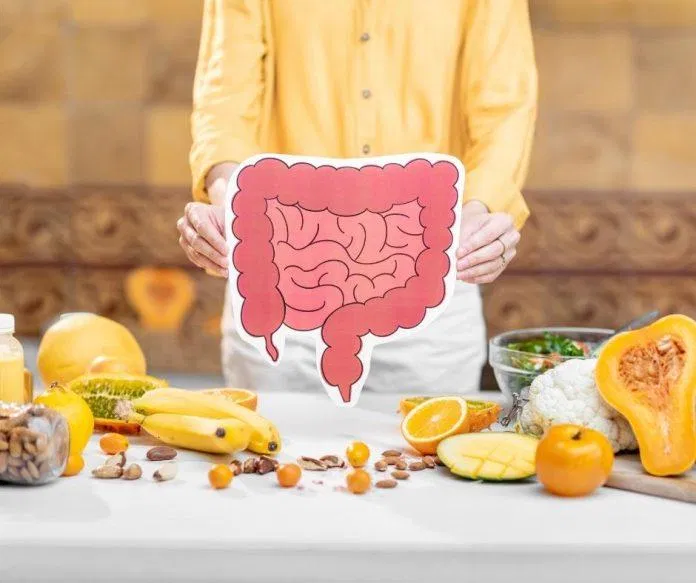 Kombucha cung cấp lợi khuẩn là Probiotics giúp cải thiện tiêu hóa tốt hơn (nguồn: internet)