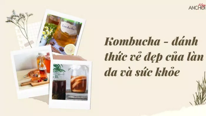 Kombucha có tác dụng gì? Cách uống Kombucha đúng cách? Mua Kombucha ở đâu uy tín? (nguồn: BlogAnChoi)