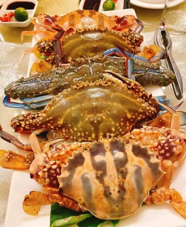 Hải sản tươi sống tại tại nhà hàng Thế giới hải sản Trần Kim Xuyến (ảnh: internet)