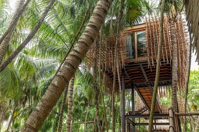 Nômade Tree House (Ảnh: Internet) Nômade Tree House (Ảnh: Internet)