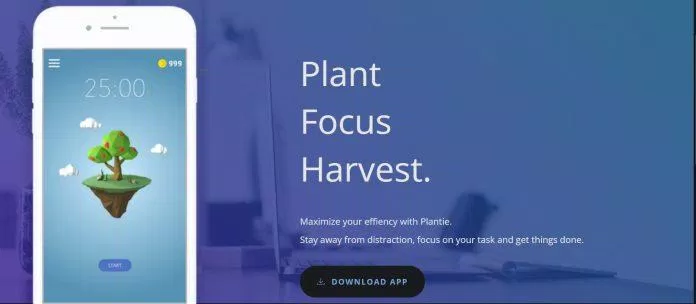 Plantie giúp bạn tập trung (Ảnh: Internet)