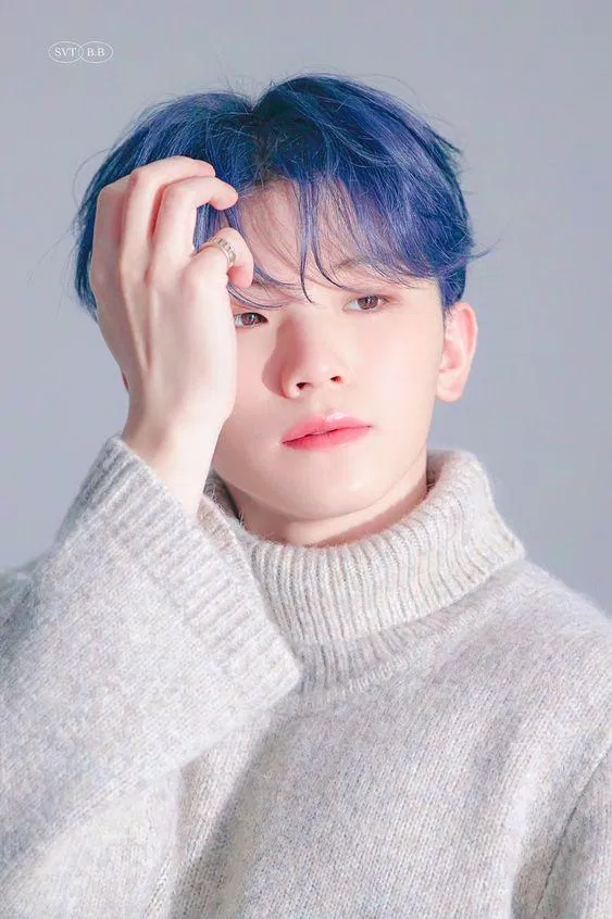 Woozi Woozi