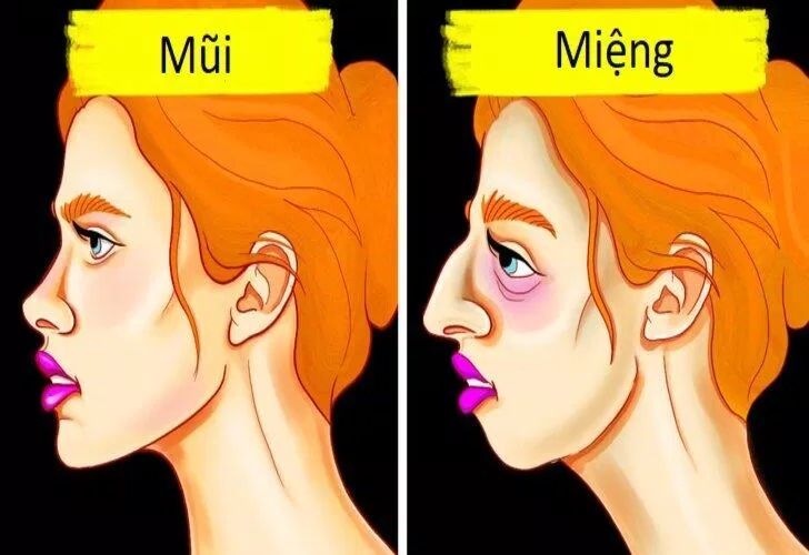 Thở bằng miệng có thể gây ảnh hưởng đến cấu trúc xương mặt (Ảnh: Internet) Thở bằng miệng có thể gây ảnh hưởng đến cấu trúc xương mặt (Ảnh: Internet)