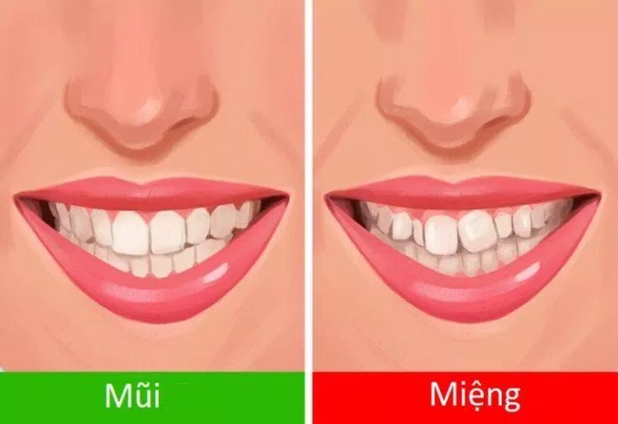 Bạn muốn hàm răng xinh xắn của mình trở nên khấp khểnh?  (Hình: Internet)