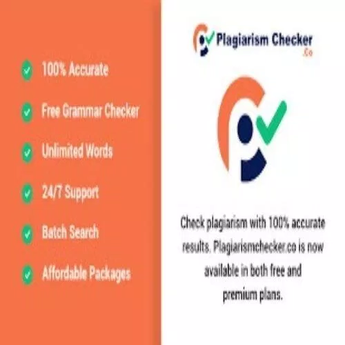 đạo văn- check đạo văn (Ảnh: Internet)