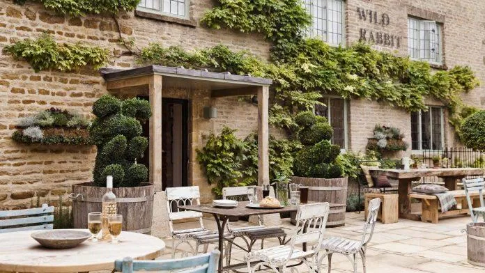The Wild Rabbit Kingham (Ảnh: Internet) The Wild Rabbit Kingham (Ảnh: Internet)