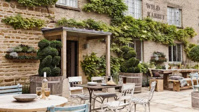 The Wild Rabbit Kingham (Ảnh: Internet) The Wild Rabbit Kingham (Ảnh: Internet)