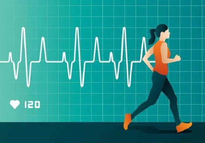 Nhịp tim tối đa là nhịp tim khi cơ thể đang vận động mạnh (Ảnh: Internet).