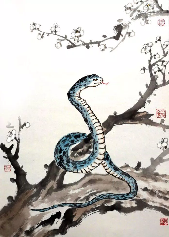 Dự đoán tử vi tuổi Tỵ ngày 23/4/2022 (Ảnh: Internet)