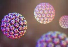 HPV thường không gây triệu chứng cho người bị nhiễm (Ảnh: Internet).