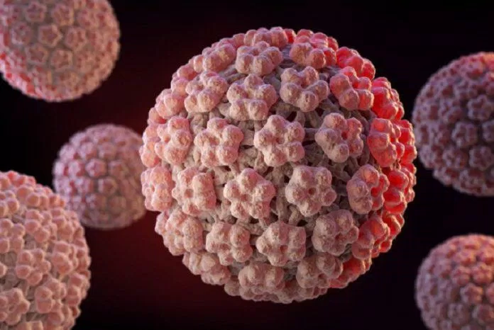 Virus HPV gây bệnh lây truyền qua đường tình dục (Ảnh: Internet).