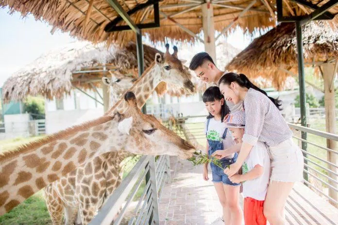 Tổ chức các buổi đi chơi gia đình cho trẻ hạn chế trầm cảm tuổi dậy thì. (Nguồn: Internet). Tổ chức các buổi đi chơi gia đình cho trẻ hạn chế trầm cảm tuổi dậy thì. (Nguồn: Internet).