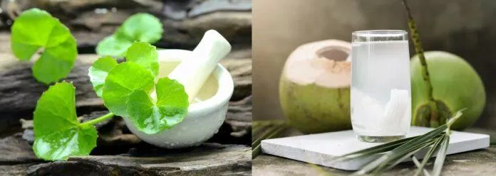 Rau má và nước dừa là hai nguyên liệu chính làm nên món nước thanh mát này (ảnh: internet)