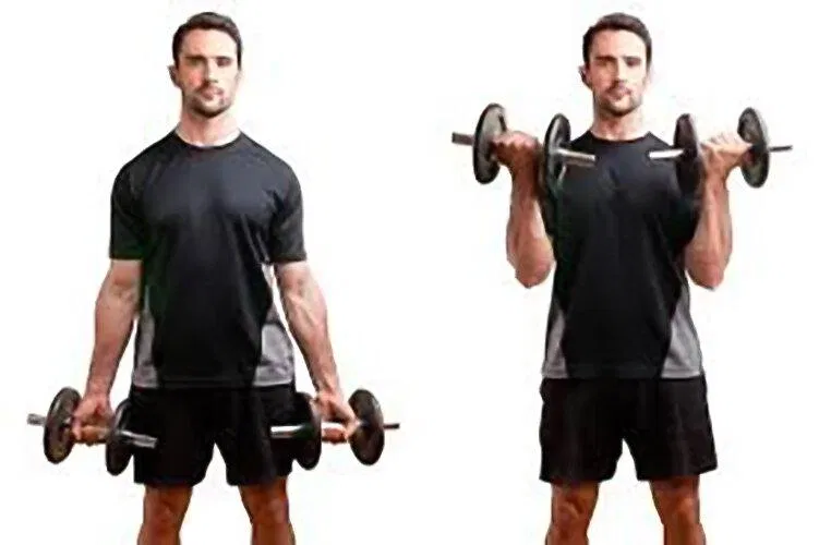 Bicep Curls (Nguồn: Internet) Bicep Curls (Nguồn: Internet)