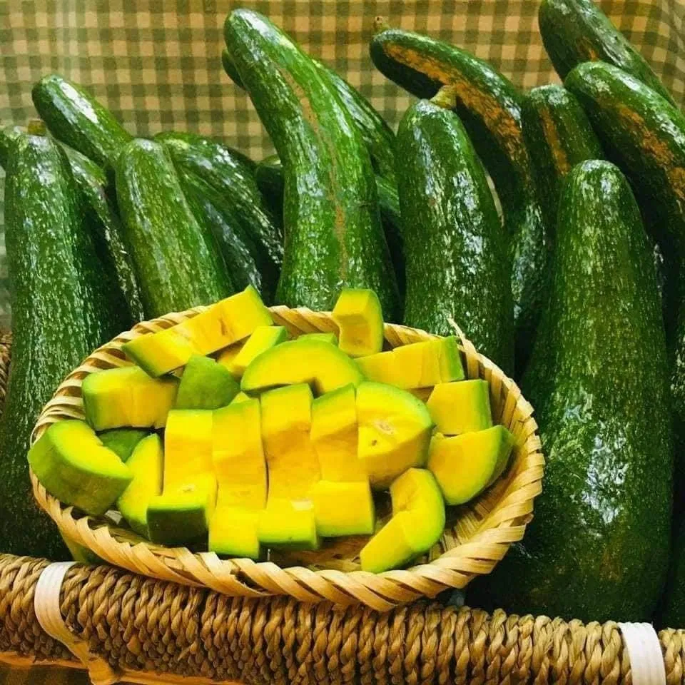 Cắt nhỏ bơ trước khi làm đông để tiết kiệm thời gian và để máy ép làm việc tốt hơn (ảnh: internet)