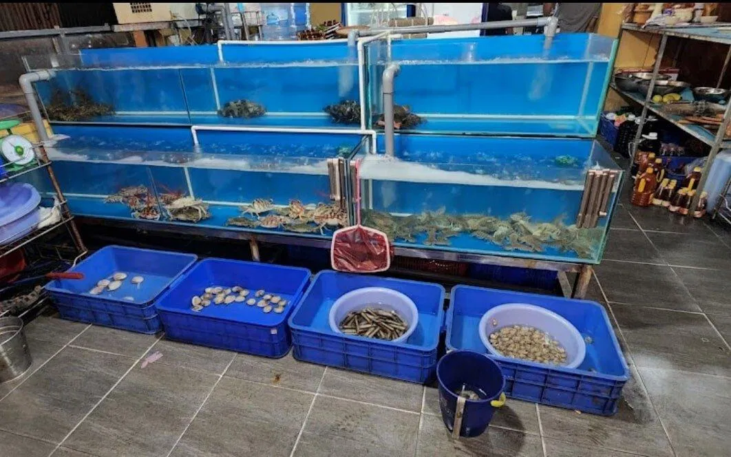 Các món ăn tại Nhà hàng buffet hải sản Thời Cổ Đà Nẵng (Ảnh Internet)