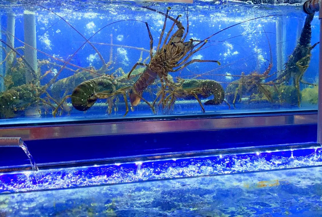 Các món ăn tại Nhà hàng buffet hải sản Bé Biển Đà Nẵng (Ảnh Internet)