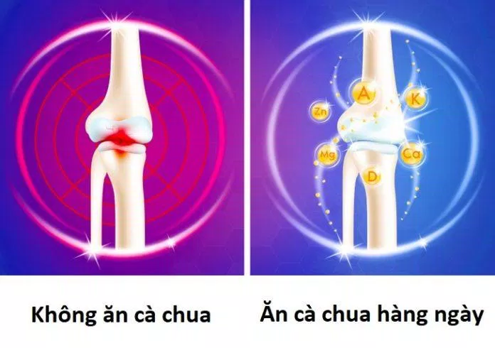 Tuy nghe hơi khó tin nhưng cà chua thật sự rất tốt cho xương (Ảnh: Internet) Tuy nghe hơi khó tin nhưng cà chua thật sự rất tốt cho xương (Ảnh: Internet)