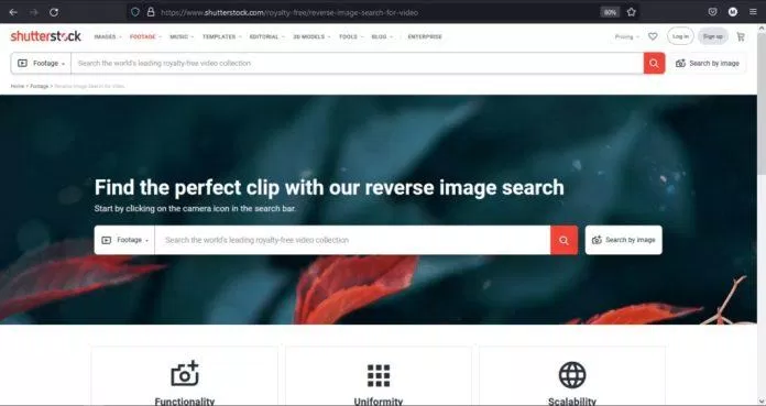 Tìm kiếm ngược video bằng Shutterstock (Nguồn: Internet)