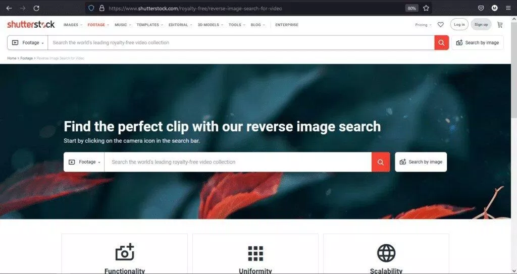 Tìm kiếm ngược video bằng Shutterstock (Nguồn: Internet) Tìm kiếm ngược video bằng Shutterstock (Nguồn: Internet)