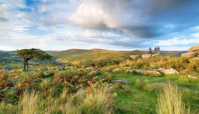 Công viên Quốc gia Dartmoor (Ảnh: Internet)
