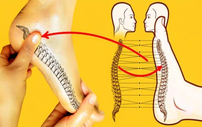 Massage chân có rất nhiều tác dụng tốt cho cơ thể, trong đó có cả trị đau lưng (Ảnh: Internet) Massage chân có rất nhiều tác dụng tốt cho cơ thể, trong đó có cả trị đau lưng (Ảnh: Internet)