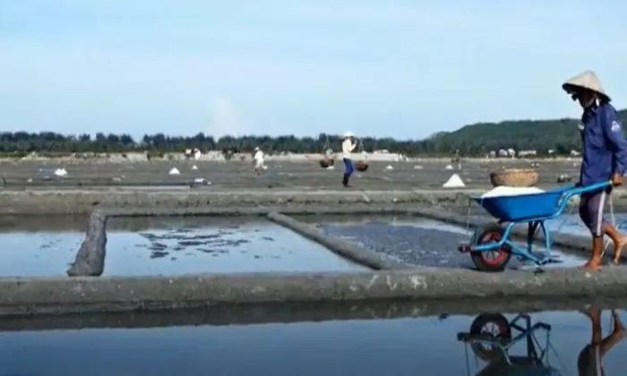 Cánh đồng muối Sa Huỳnh