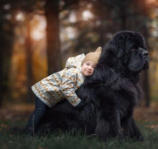 Một em bé nhỏ, một chú chó to (Nguồn: Internet) Một em bé nhỏ, một chú chó to (Nguồn: Internet)