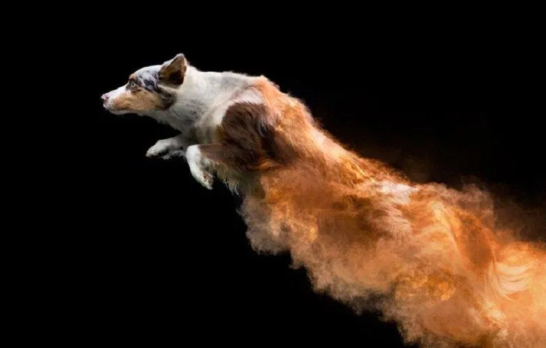 Cảnh hành động với bột màu (Nguồn: Internet) Cảnh hành động với bột màu (Nguồn: Internet)