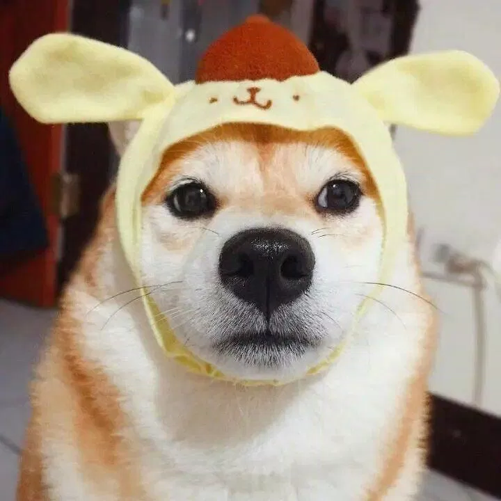 Ảnh avatar đôi hài hước bá đạo. (Ảnh: Internet) Ảnh avatar đôi hài hước bá đạo. (Ảnh: Internet)