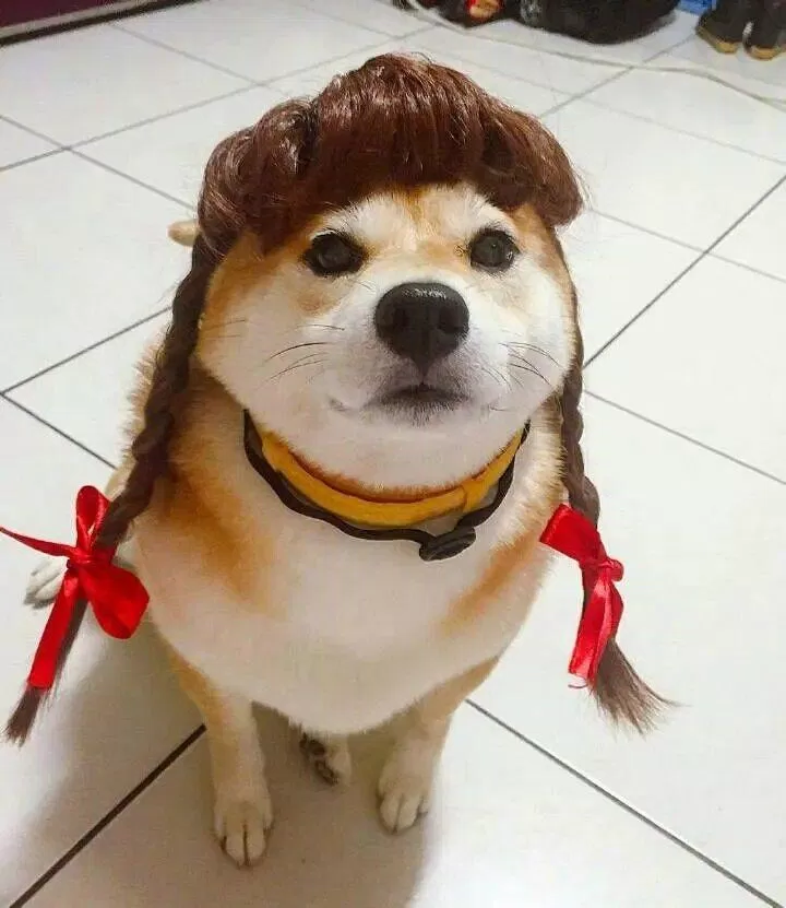 Ảnh avatar đôi hài hước bá đạo. (Ảnh: Internet) Ảnh avatar đôi hài hước bá đạo. (Ảnh: Internet)