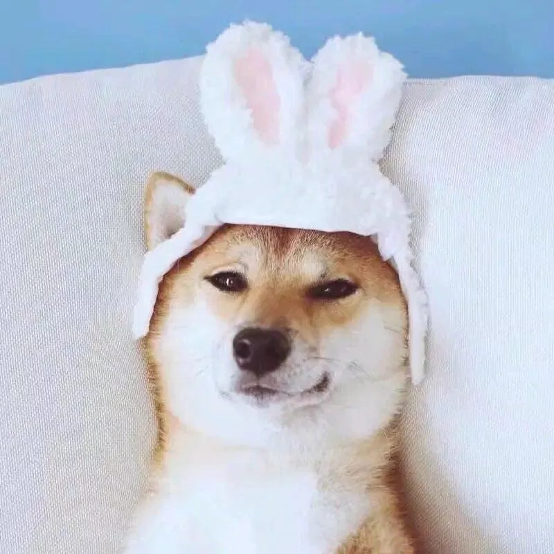 Ảnh avatar đôi hài hước bá đạo. (Ảnh: Internet) Ảnh avatar đôi hài hước bá đạo. (Ảnh: Internet)