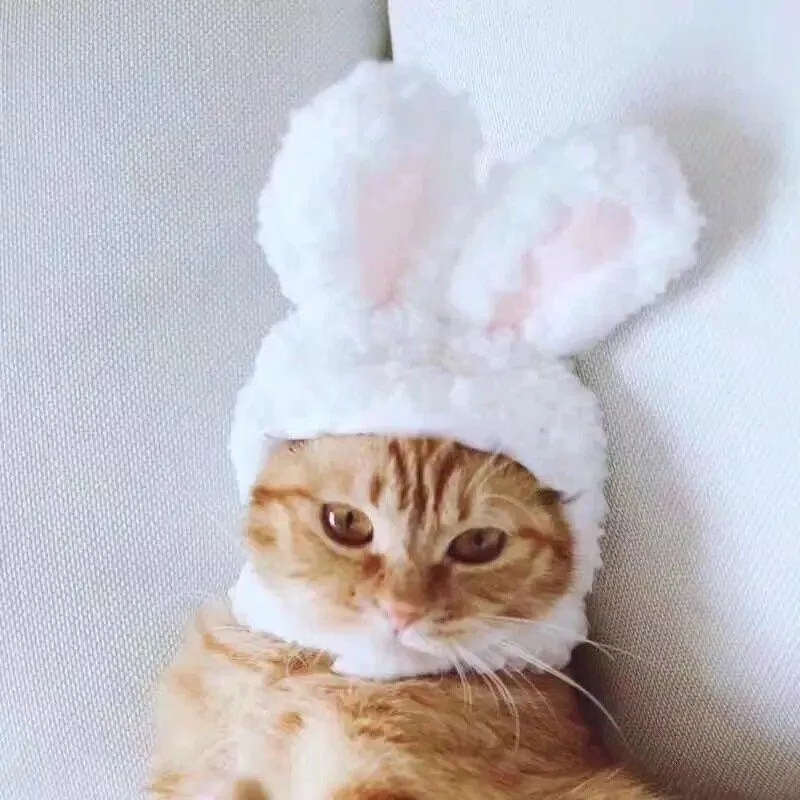 Ảnh avatar đôi hài hước bá đạo. (Ảnh: Internet) Ảnh avatar đôi hài hước bá đạo. (Ảnh: Internet)