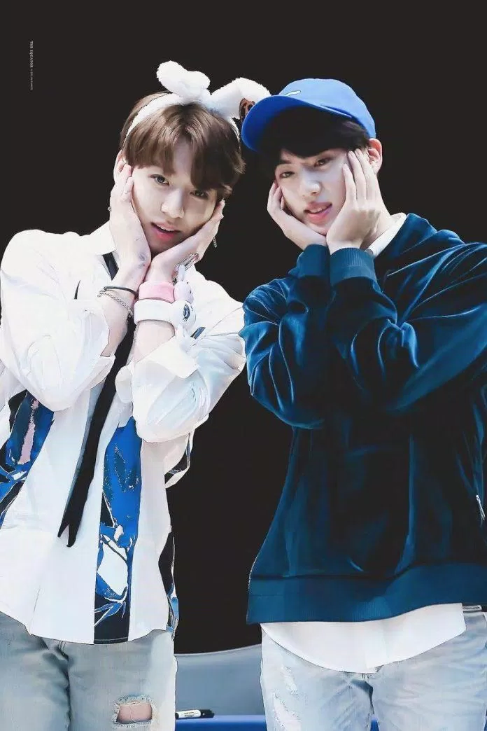 Jin và Jungkook (BTS) Bộ đôi Tom-And-Jerry của K-Pop.  (Nguồn: Internet)