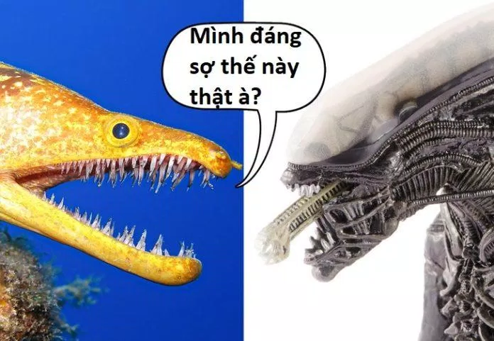 Thật sự rất đáng sợ (Ảnh: Internet) Thật sự rất đáng sợ (Ảnh: Internet)