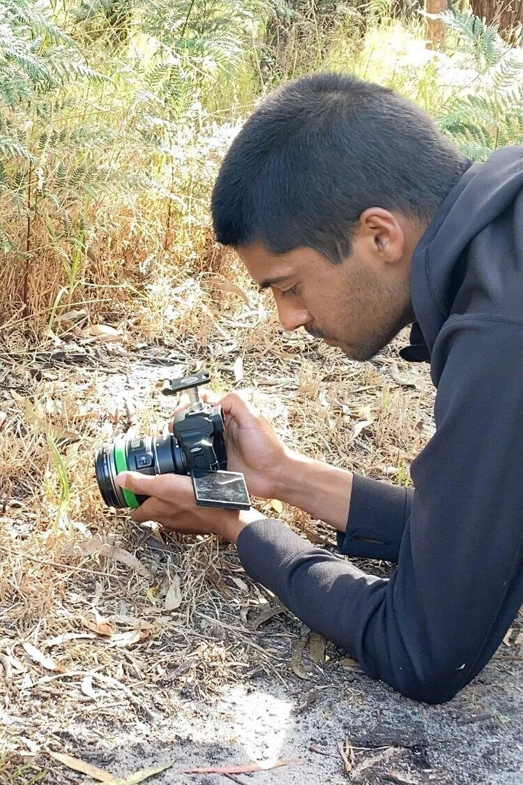 Máy ảnh để chụp kiến không cần quá xịn (Nguồn: Internet) Máy ảnh để chụp kiến không cần quá xịn (Nguồn: Internet)