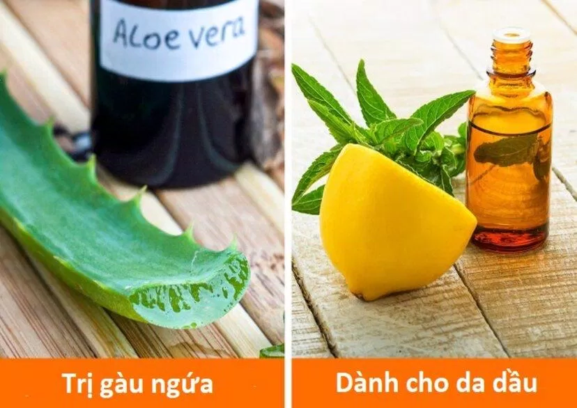 Cũng giống như da mặt, mỗi loại da đầu khá nhau đều cần những loại dầu gội khác nhau (Ảnh: Internet)