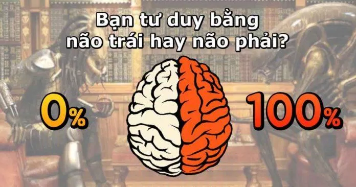 Minh họa cho người thuận não phải (Ảnh: Internet)