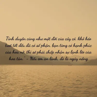Trích dẫn "Nếu em an lành, đó là ngày nắng" - Bạch Lạc Mai (ảnh: BlogAnChoi)