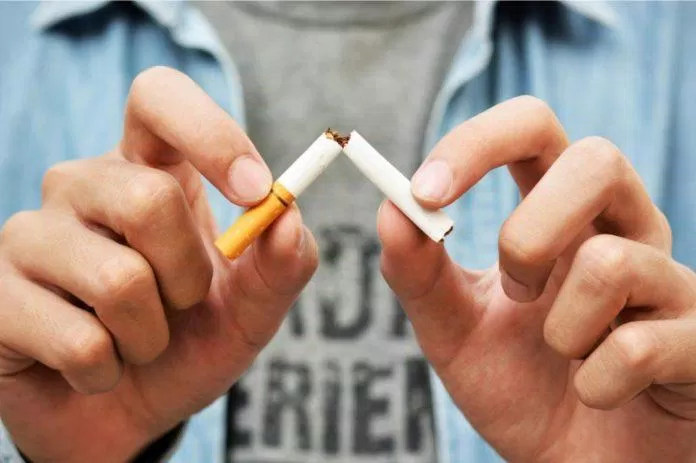 Thuốc lá hủy hoại toàn bộ cơ thể (Ảnh: Internet).
