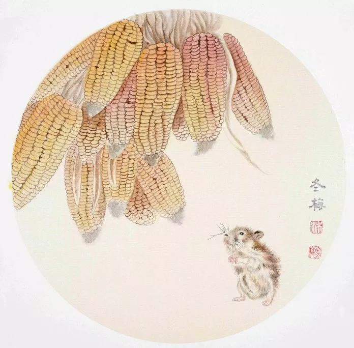 Tổng quan tử vi tuổi Tý 2023 (Ảnh: Internet)