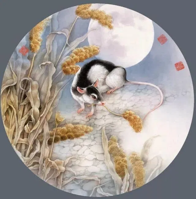 Dự đoán tử vi hôm nay tuổi Tý 7/5/2022 (Ảnh: Internet)